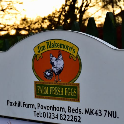 6 x Ex Large Free Range Eggs
