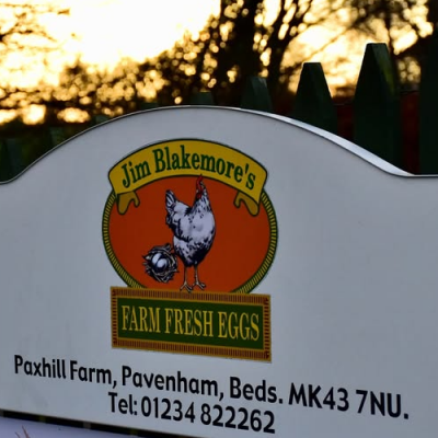 6 x Large Free Range  Local Eggs